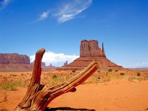 Tutte le offerte per viaggiare in Nord America