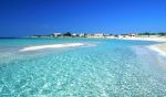 mare